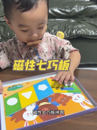 便携式的七巧板,出门带上真的很省心,坐车,坐高铁,宝宝随时有的玩,#益智玩具 #七巧板#磁力七巧板 #专注力培养 #宝宝早教知识