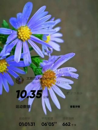 几天的雨终于停了~空气清醒#晨跑 #打个卡