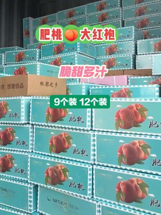 大红袍水蜜桃🍑脆甜多汁 ,有12个装 有9个装 ,山东肥城原产地直发🍑 顺丰包邮到家 #桃子熟了 #肥桃 #抖音助农