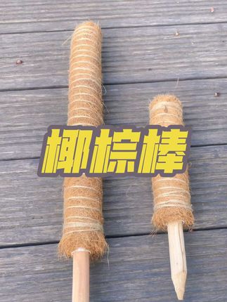 #椰棕棒