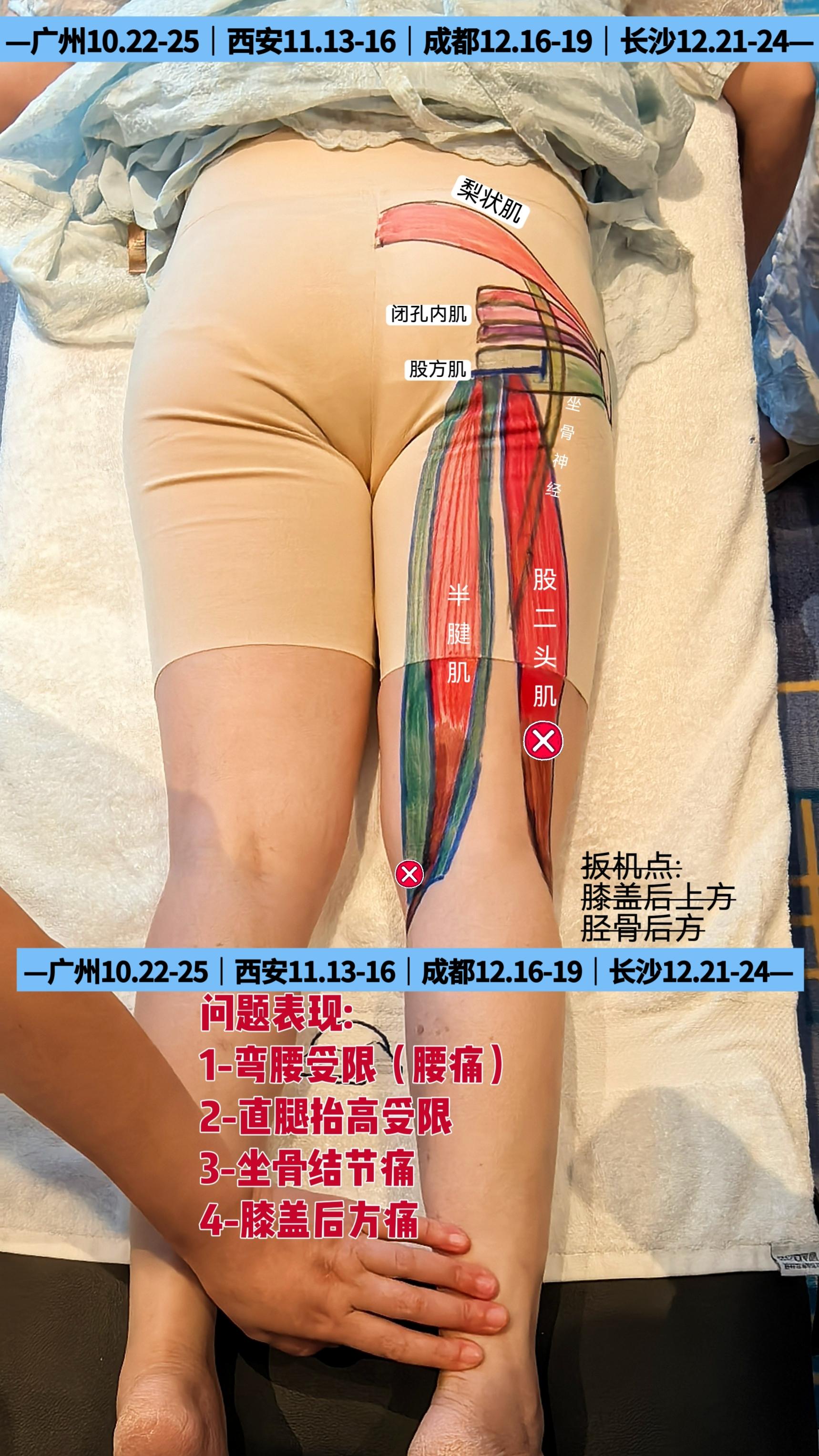 彩绘学肌肉