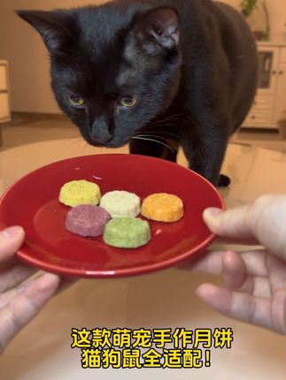 中秋节临近,咱们猫猫也吃上月饼啦~ #养宠进阶指南 #猫零食