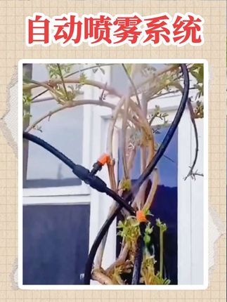 浇菜浇花,养殖场降温,产房降温,用这个把自动喷雾系统真的不要太好用了#喷雾降温系统 #养殖厂专用 #浇花浇菜 #园林工具 #厂房降温