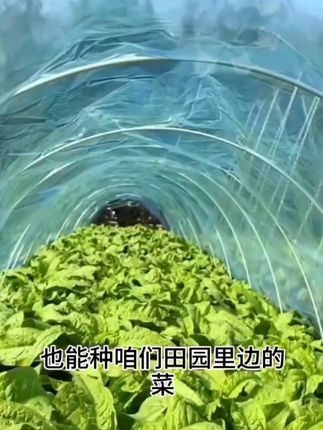 农用菜园小拱棚支架家用花菜棚拱蔬菜地保温玻璃纤维实用拱棚撑杆#好物种草 #拱棚撑杆#方便又实用 #小拱棚支架