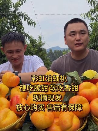 #彩虹油蟠桃 #脆甜多汁 #现摘现发新鲜到家