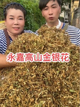 永嘉楠溪江高山金银花你们喜欢吗?#金银花#乡村助农#温州方言#文成郑姐
