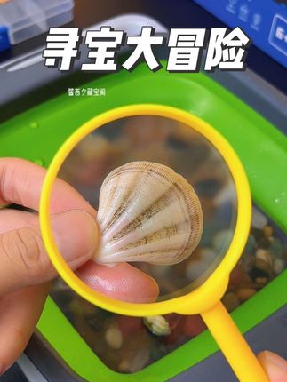 孩子整天玩手机打游戏怎么办?试试这个超有趣的拇指客寻宝大冒险吧!让孩子亲手挖掘宝藏,像个小考古学家一样,每次发现新宝石都超级兴奋,能提高孩子的专注力和动手能力。#寻宝大冒险 #考古挖掘 #儿童寻宝玩具挖宝石 #动手动脑