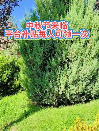 心相印抽纸#新人福利第一单#强烈推荐#心相 印抽纸推荐#平价好物#超便宜超划算