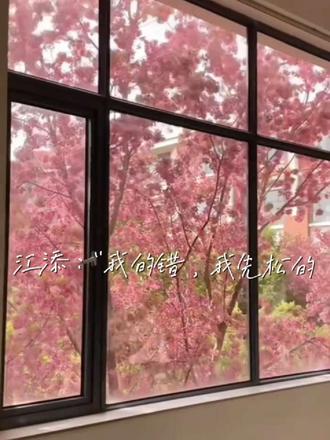 这个杯子不会碎#某某木苏里 #江添盛望 第一次剪小说素材