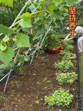 每年换季都会坚持养土,现在泥土越来越黑越来越肥沃#三农 #种植知识 #种植技巧 #新农人计划 @DOU+小助手
