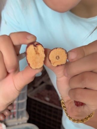 给大家看看发货的灰枣!库存不多啦 喜欢吃红枣的哥哥姐姐们快来看看!#优质农产品 #乡村振兴dou行动 #返乡创业青年 #原创视频 #口感特别好