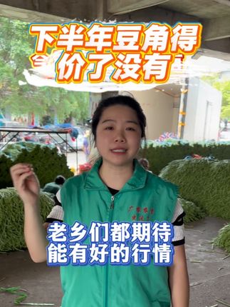 下半年豆角🉐价了没有,老乡们也是在期待能突破3字头!#种植小技巧 #蓟马 #病虫害防治 #农业种植 #虫没了