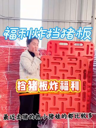 福利炸挡猪板#挡猪板 #畜牧养殖 #养殖场 #养猪人
