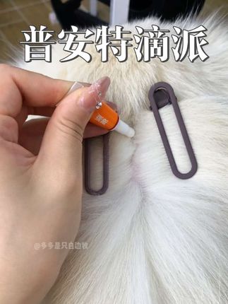 普安特qu虫大羊毛买一送一,趁现在活动划算,赶紧多存点。日期也都是最新的,官方旗舰店发货,老品牌值得信赖👍🏻#萌宠 #萌宠出道计划 #狗狗 #猫咪 #萌宠好物