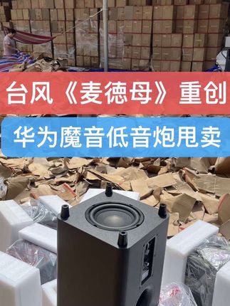 台风《麦徳姆》重创湛江,因原音响是数字同轴音频输入的,现在你买了不能直接使用,需改装成无源低音炮,又或者加装2.1功放和全频小音箱配套才能用,有兴趣先关注我,等我改装好就开炸福利。