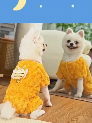 #宠物衣服 #宠物用品 四脚衣毛绒蜜蜂可牵引宠物狗狗猫咪衣服用品秋冬保暖加厚泰迪#宠物狗 #狗衣服 #萌宠好物