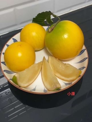 黄晶果成熟了,你知道怎么样最好吃吗?这个视频告诉你。口感像果冻一样太好吃了鲜甜可口
