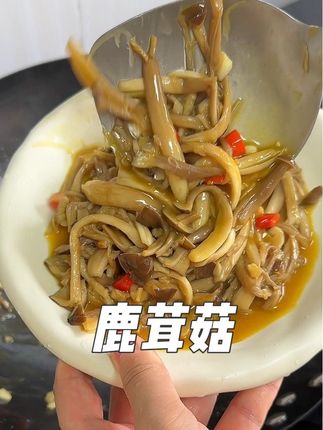 鹿茸菇!平时做饭愿意放蚝油的啊,你真可以试试这个松茸鲍汁儿蚝油啊#家常菜 #美食 #蚝油 #鹿茸菇 #美食教程
