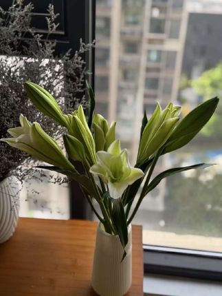 活了二十几年,终于知道自己耳朵有多🤢了…#可视采耳神器 #可视掏耳勺 #掏耳神器 #掏耳朵 #亲测分享