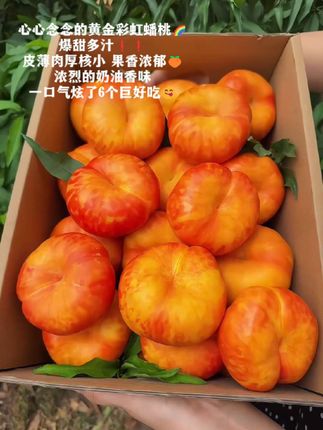 吃到了人生彩虹蟠桃🥰爆甜!!新鲜饱满,皮薄肉厚核小 硬吃脆甜 软吃爆汁 一口气炫3个!好吃到停不下来~ #蟠桃 #优质农产品 #桃子熟了 #新鲜应季水果 #童年白月光美食回来了