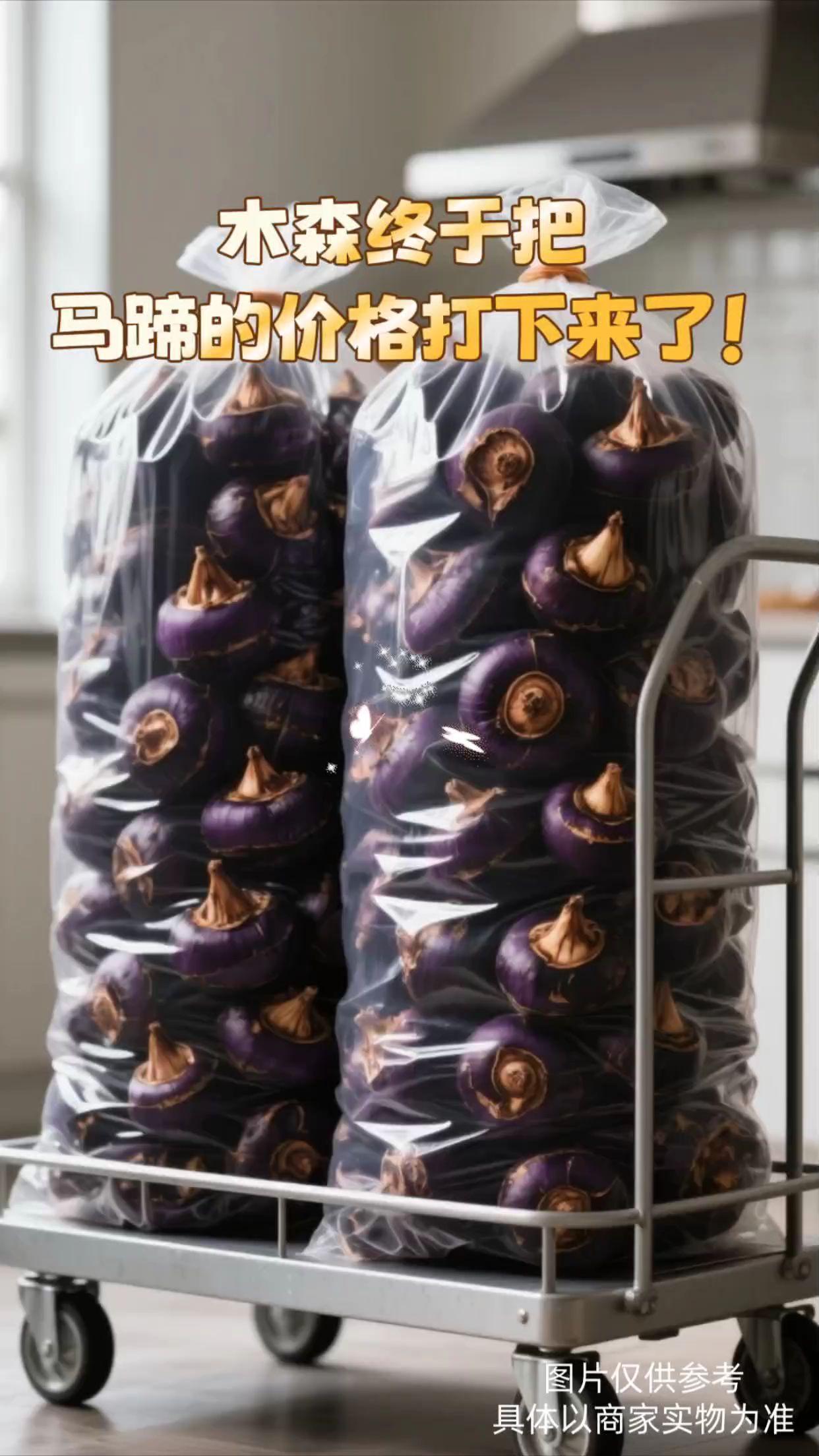 秋冬脆甜担当!新鲜马蹄太解腻了 谁懂啊!吃腻重口就馋这口脆爽! 洗干净带皮啃,咔嚓一声超解压,果肉白嫩嫩的,咬下去清甜爆汁,还带着股清香味。煮糖水、炖排骨都绝,解腻又润燥,全家都爱吃~ #新鲜马蹄 #农产品 #马蹄 #美食 #农产品