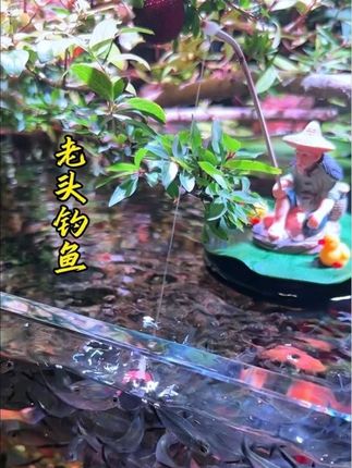 有了钓鱼老头摆件,守着古法鱼缸看黑尾大勾,能坐一整天#养鱼 #古法鱼缸#鱼缸装饰 #黑尾大勾 #钓鱼老头