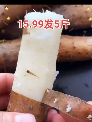 #铁棍山药 #产地直发 #超便宜超划算 #营养丰富#大人孩子都爱吃