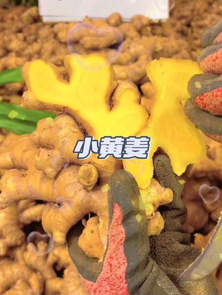 今年黄姜大丰收了!便宜给大家发五斤 #小黄姜#黄姜#姜#生姜#高山小黄姜