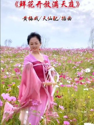 耳边是:(鲜花开满天庭)的弦音,眼前是:格桑花开的烂漫……谁说仙境遥不可及?董永与七女的爱情,化作这遍野的芬芳~每一朵格桑,都似一个音符,在天地间奏响最美的天仙配👩❤️👩 库存视频《拍摄于2023/9.29》