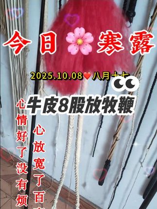 #牛皮 #放牧鞭 #放羊鞭子 #鞭子 #纯手工打造 批发,加工,定制