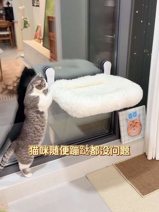 #养猫新手 #养猫人 #宠物用品 #萌宠出道计划 #毛孩子的日常