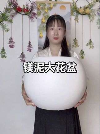 #镁泥花盆 #花盆#透气花盆#大花盆#爱生活爱养花