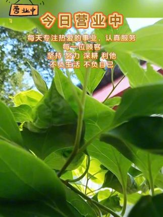 #钻石#强烈推荐 #原创视频 #上热搜