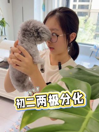 终于让我找到了可以把物理化学变成漫画的书,这就太适合孩子去做物化启蒙#初中物理#初中化学#物化启蒙#家长必读
