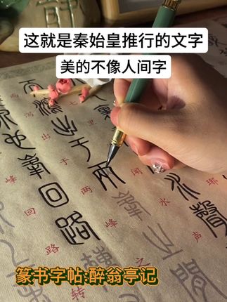 这就是秦始皇推行的文字,美的不像人间字 #醉翁亭记#篆书#字帖#写字是一种生活#毛笔字帖