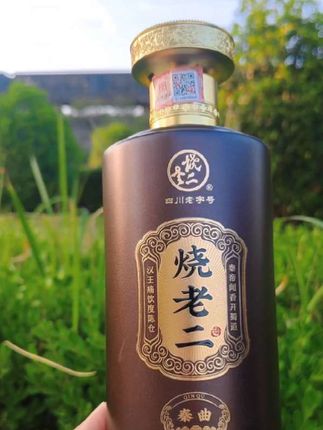 烧老二秦曲烧老二酒(秦曲)多粮浓香型52度固态法白酒52度500ml#烧烤二#秦曲烧老二#固态法白酒#浓香型白酒#白酒