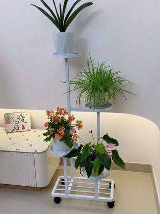 家中摆放圆盆花架,节节高升,生活充满阳光和希望,你们喜欢这种风格吗?#花架#爱生活爱养花