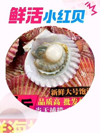 鳝汪小红被#舌尖上的味道 #@DOU+小助手