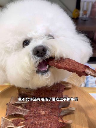 酥脆可口的手抓牛排,看着我都流口水了,赶紧安排给毛孩子尝一尝#狗狗零食 #当你有只馋嘴狗狗 #狗狗牛排 #萌宠好物