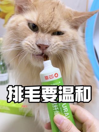 猫咪肚肚里堵满毛球,千万记得帮它排毛!#猫咪舔毛 #温和排毛 #猫咪吐毛球 #化毛膏
