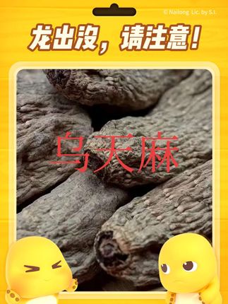 #乌天麻 #云南 #上品