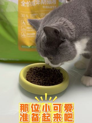 针对肠胃不好的猫咪,牛肉益生菌猫粮,赶紧入手试试 #猫粮 #猫粮推荐 #猫咪日常 #益生菌 #养猫日常