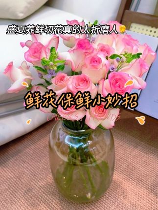 盛夏养鲜切花真的太折磨人!刚插好的花转天就蔫得塌下来,但只要用对它能延长一倍,让夏日养花不再是难题#鲜花养护#爱生活爱养花#鲜花泡腾片#鲜切花#网购鲜花养护