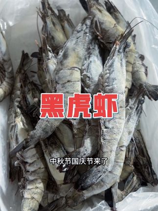 中秋国庆送亲戚送朋友的黑虎虾,他来了