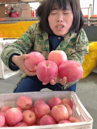 正宗陕西洛川红富士苹果,满足您对苹果所有的幻想和需求,脆甜多汁#优质农产品 #口感非常好 #三农 #助农水果