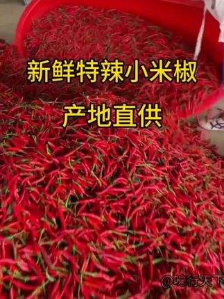 爱吃辣的朋友看过来!这个新鲜采摘的小米椒、朝天椒真的太绝了,都是农户自家种的,吃起来又香又辣,特别下饭。家里炒菜放几颗,味道瞬间提升一个档次,喜欢的朋友赶紧买点尝尝吧!#小米椒#朝天椒 #新鲜采摘 #现摘现发#产地直供