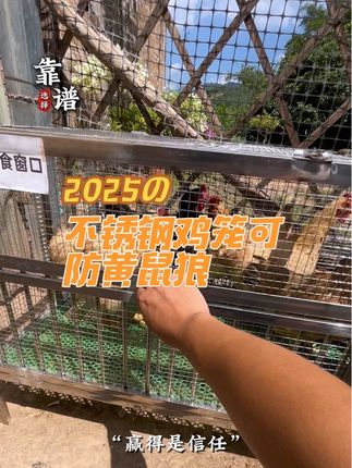 #原创视频 #不锈钢笼子 #家禽 #散养鸡#农村养鸡
