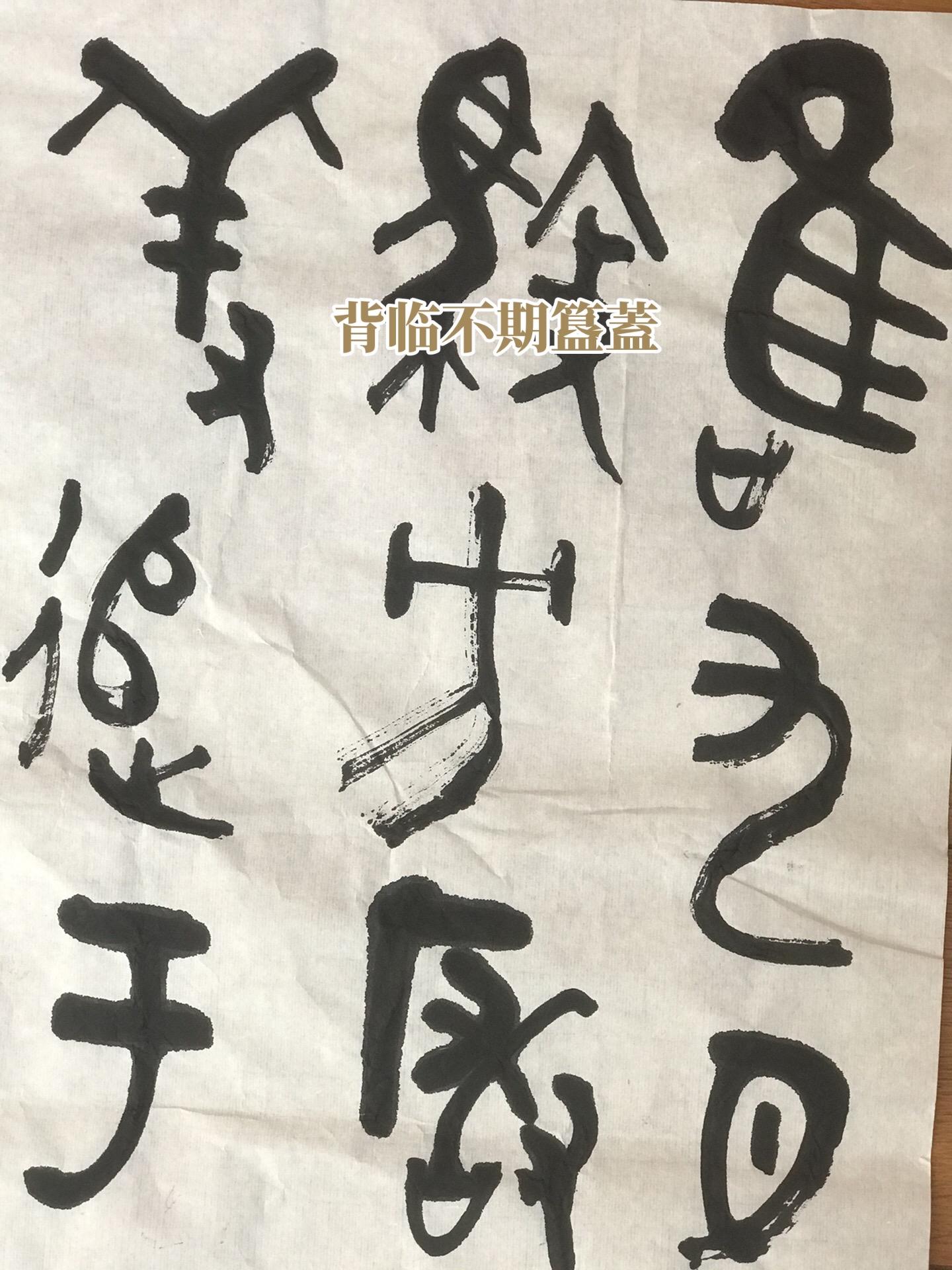 背临不期(借用)簋蓋#此蓋铭文天马行空,豪迈奔放之气尽显!#临池不辍#坚持不懈#乐在其中