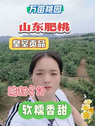 万亩桃园,绿意盎然,山东肥桃如天上蟠桃落入凡间。送礼佳品,香甜醉心~🌳🍑 #肥城桃 #国家地理标志产品 #山东肥桃
