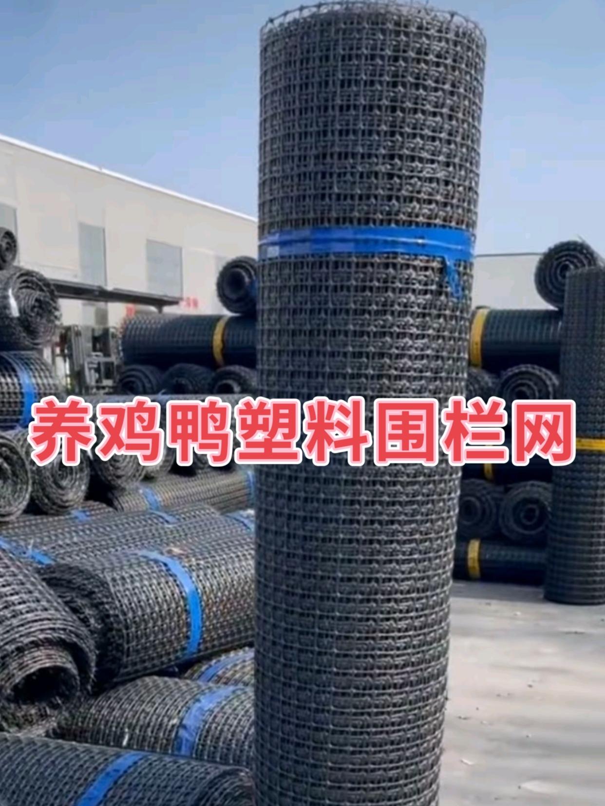 十来块钱就能到手的塑胶围栏网,而且它足足五十米长,哥哥姐姐们,你们没有听错,我也没有说错,赶紧拼手速来抢这个塑胶围栏网,就是这塑料围栏网,今天不仅价格低的惊呼,而且质保十年,一卷,五十米长,高度可自由选择聚丙烯材质。在户外不怕风吹日晒雨淋,不怕生锈、不怕老化,加这个塑胶围栏网,重点就是比铁网要便宜,还不生锈,用个十年八年没问题,成本价格更低。养殖鸡鸭鹅的,养猪牛羊的,圈山圈地围菜园果园的,通通都用得上。秋收囤玉米,做玉米架子,能承受好几千斤的重量,特别结实耐用,早下早到家哦#圈地养殖网 #养殖网 #防护网 #护栏网 #养鸡鸭塑料围栏网@抖加🔥上热门🔥dou+🔥热点宝 @DOU+上热门